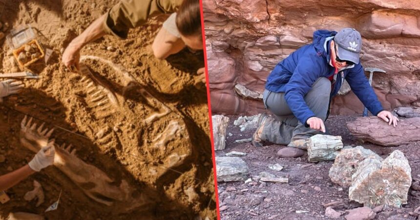 La Universidad de Atacama impartirá la primera carrera de Paleontología en Chile desde 2026