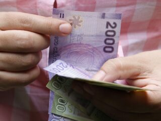 ¿Te depositaron los $58.000? Revisa con tu RUT si el IPS ya hizo el pago