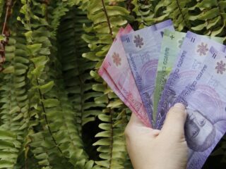 Estas mujeres no pueden acceder al Bono por Hijo en Chile