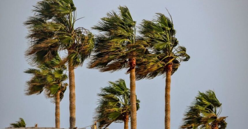 Alerta meteorológica: viento moderado a fuerte afectará a Tarapacá, Antofagasta y Atacama