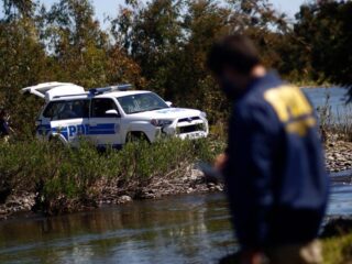 Encuentran cráneo humano en Limache: PDI investiga y SML determinará causa de muerte