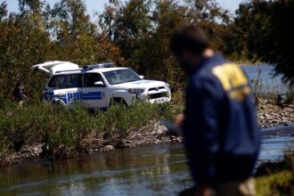 Encuentran cráneo humano en Limache: PDI investiga y SML determinará causa de muerte