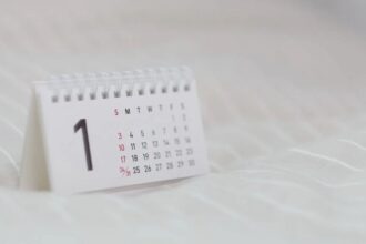 Nuevo feriado el próximo 20 de agosto: en qué comunas aplica