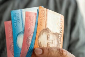 Bonos y Subsidios Disponibles para el 40% Más Vulnerable del RSH