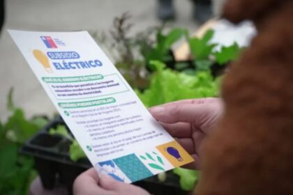 Subsidio Eléctrico: fecha clave para conocer los resultados de la postulación