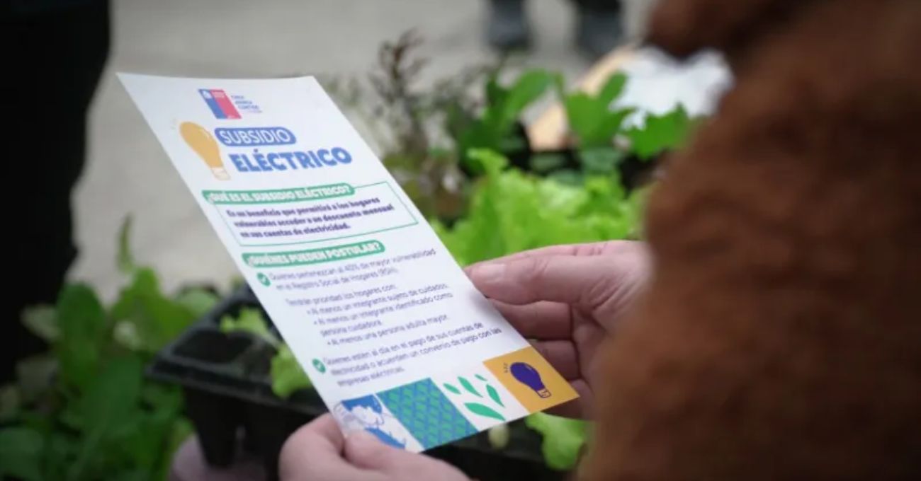 Subsidio Eléctrico: fecha clave para conocer los resultados de la postulación