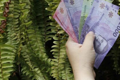 PGU de $250.000: revisa quiénes recibirán el aumento desde su cumpleaños