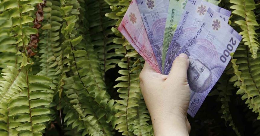 PGU de $250.000: revisa quiénes recibirán el aumento desde su cumpleaños