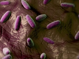 Alerta por la bacteria carnívora en EE.UU.: Vibrio vulnificus ya ha cobrado 8 vidas