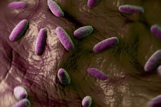 Alerta por la bacteria carnívora en EE.UU.: Vibrio vulnificus ya ha cobrado 8 vidas