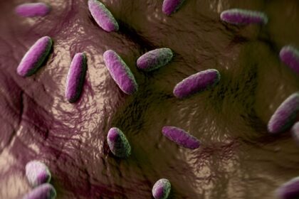 Alerta por la bacteria carnívora en EE.UU.: Vibrio vulnificus ya ha cobrado 8 vidas