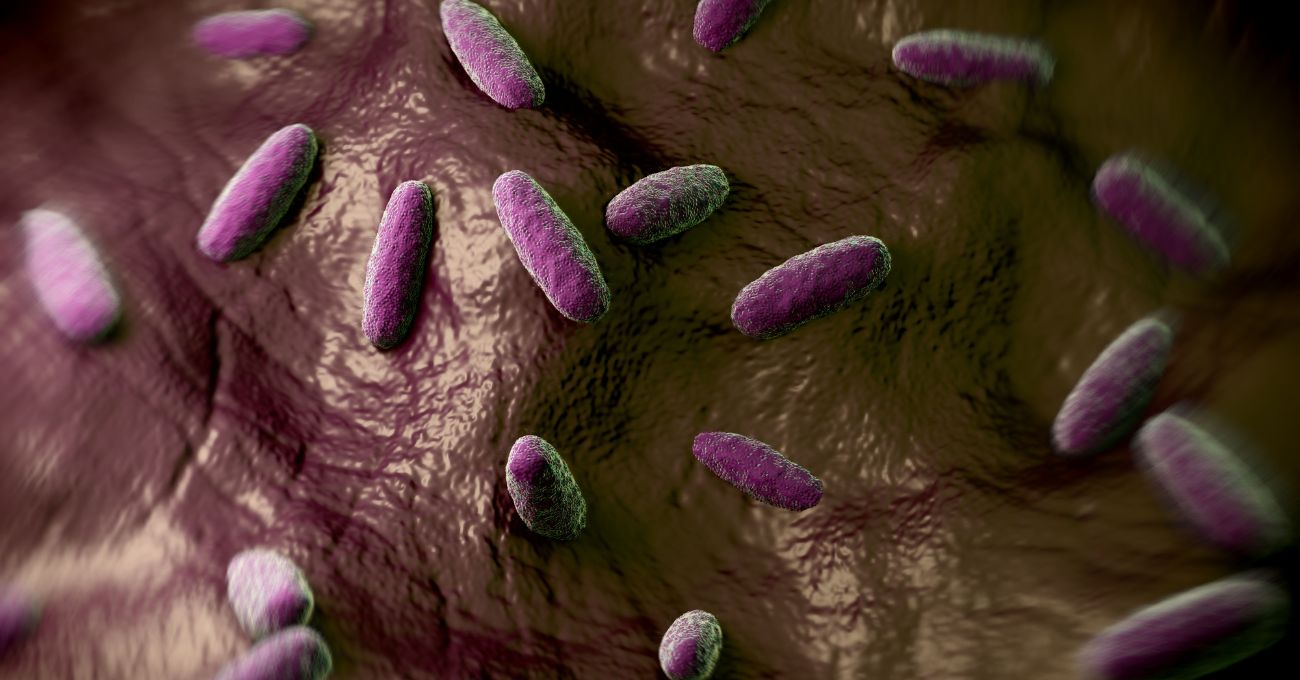 Alerta por la bacteria carnívora en EE.UU.: Vibrio vulnificus ya ha cobrado 8 vidas