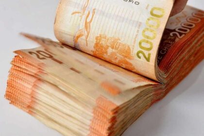Aumento de la PGU a $250.000: Revisa quiénes reciben el nuevo monto a partir de este martes