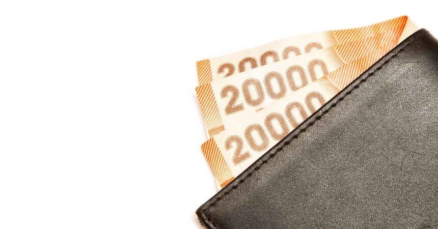 Seguro de Cesantía: Así puedes revisar cuánto dinero tienes acumulado en la AFC