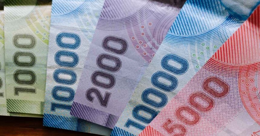 Bono de Protección: requisitos, montos y cómo saber si eres beneficiaria