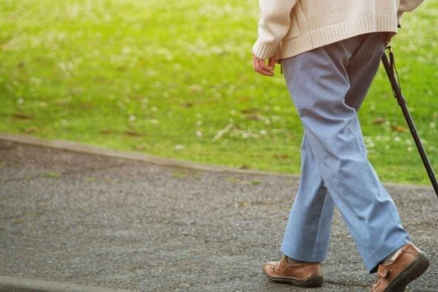 Beneficio por años cotizados: requisitos y montos del nuevo aporte
