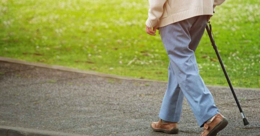 Beneficio por años cotizados: requisitos y montos del nuevo aporte