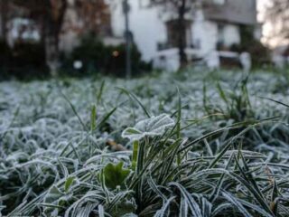 Emiten advertencia agrometeorológica por heladas de hasta -3°C en seis regiones del país