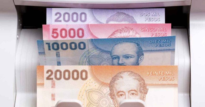 Pagos pendientes del Estado: Revisa solo con tu RUT si tienes beneficios o bonos por cobrar en el IPS