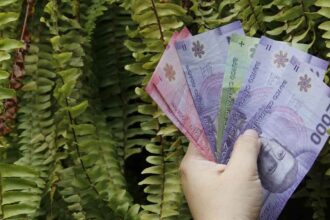 PGU de $250 mil: Revisa quiénes son los beneficiarios del nuevo monto y las próximas fechas