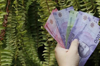 PGU de $250 mil: Revisa quiénes son los beneficiarios del nuevo monto y las próximas fechas