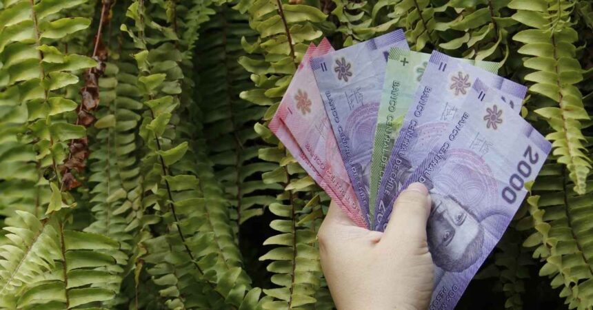 PGU de $250 mil: Revisa quiénes son los beneficiarios del nuevo monto y las próximas fechas