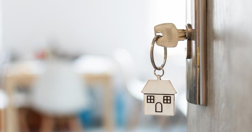 Ya están disponibles los resultados del Subsidio DS1: revisa si fuiste seleccionado