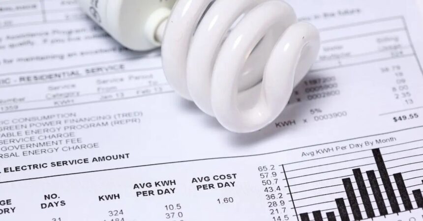 Subsidio Eléctrico: Ministerio de Energía mantiene “fecha por confirmar” para la próxima postulación