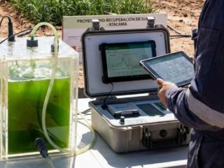 Uso de inteligencia artificial y microalgas para la recuperación de suelos agrícolas en Atacama