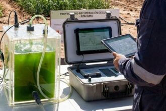 Uso de inteligencia artificial y microalgas para la recuperación de suelos agrícolas en Atacama