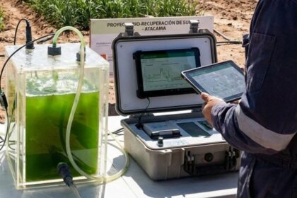 Uso de inteligencia artificial y microalgas para la recuperación de suelos agrícolas en Atacama