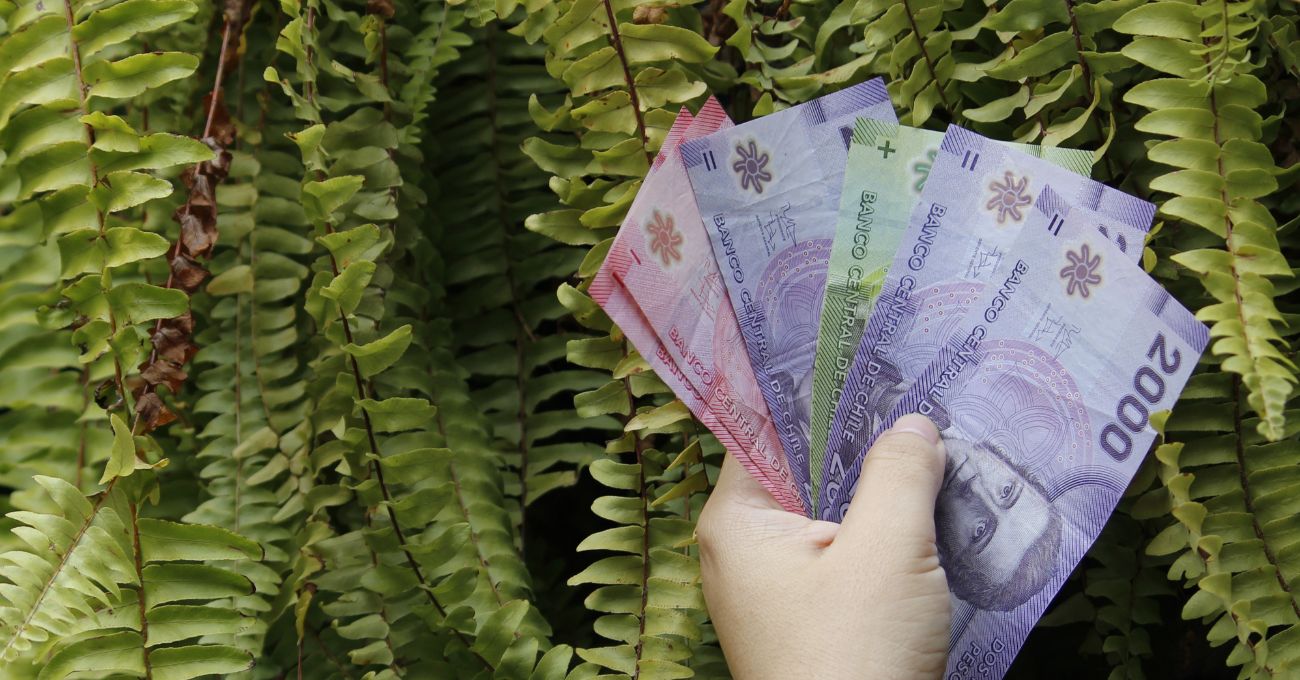 Bono Base Familiar: Requisitos del beneficio que entrega $58 mil promedio