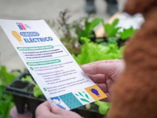 Subsidio Eléctrico: cuarta postulación finaliza este viernes