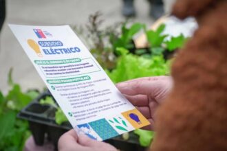 Subsidio Eléctrico: cuarta postulación finaliza este viernes